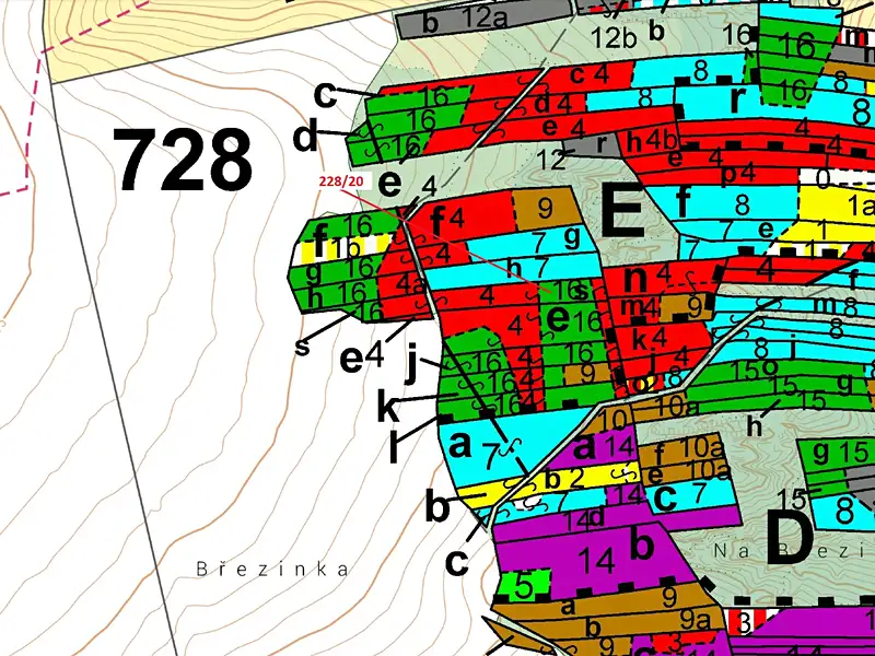 Dražba lesa 1924 m², Břežany – náhled fotky 3