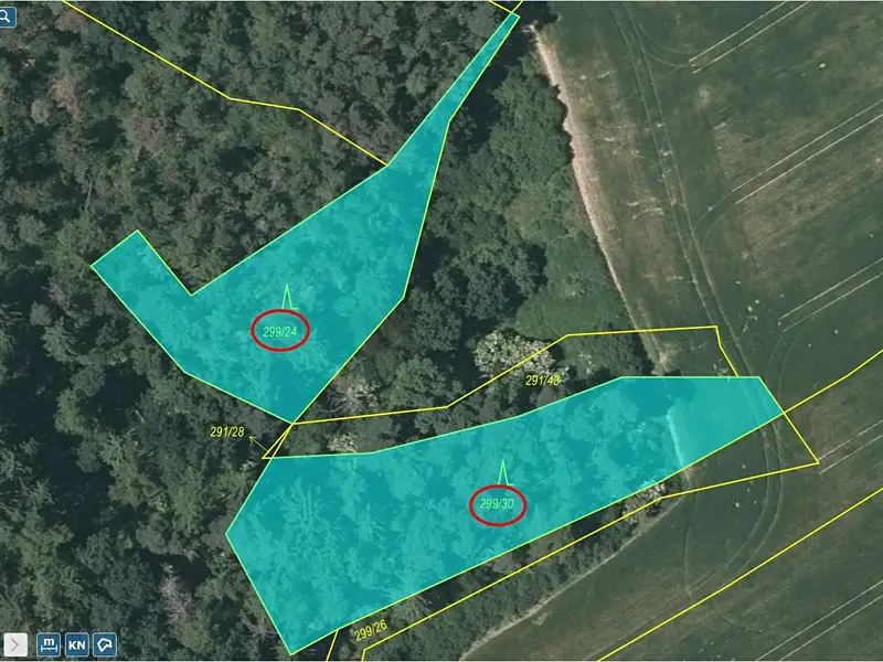 Prodej lesa 3180 m², Kaceřov – náhled fotky 1