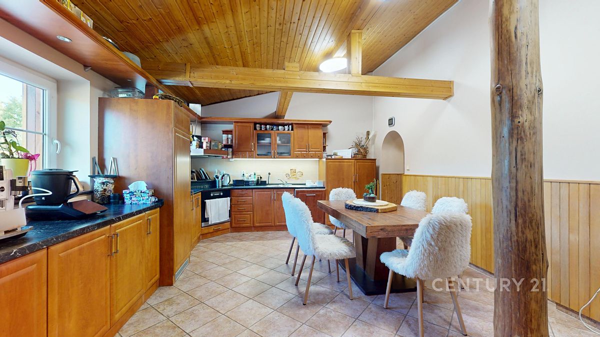 Prodej rodinného domu 294 m², pozemek 3067 m² – fotografie 4