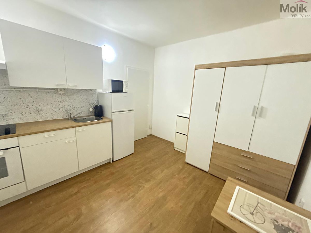 Pronájem bytu 1+kk 22 m² – fotografie 4