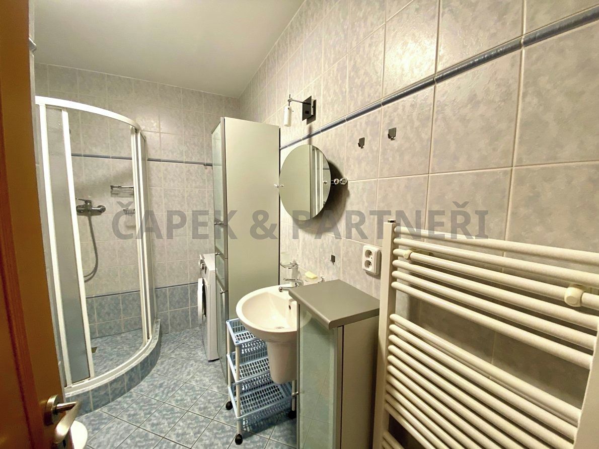 Pronájem bytu 1+kk 35 m² – fotografie 4