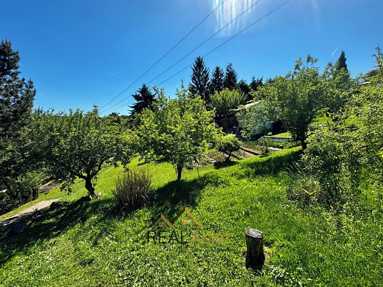 Ostatní