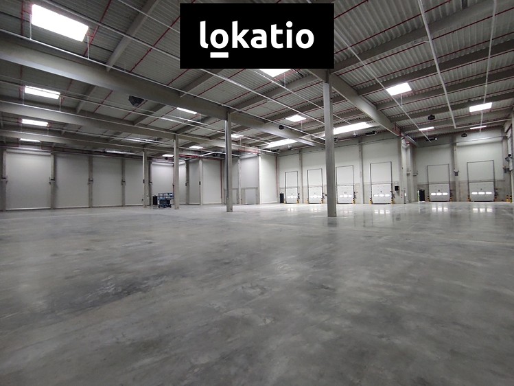 Pronájem komerčního prostoru, 3 858 m² (5 z 13)