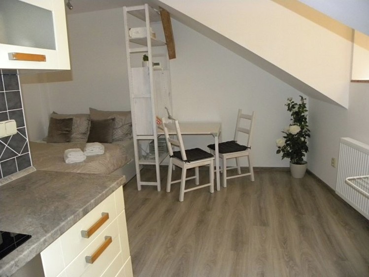 Квартира 1+kk в оренду, 24 м² (5 з 12)