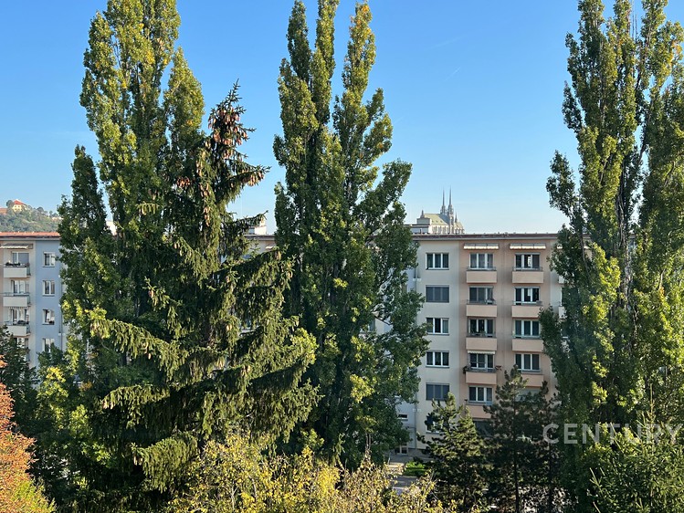 Ostatní