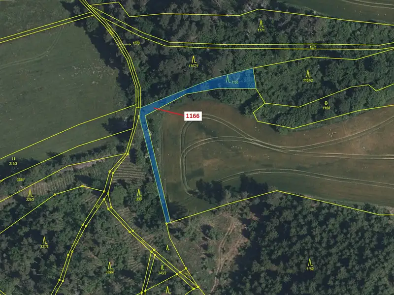 Dražba lesa 536 m², Volfířov – náhled fotky 2