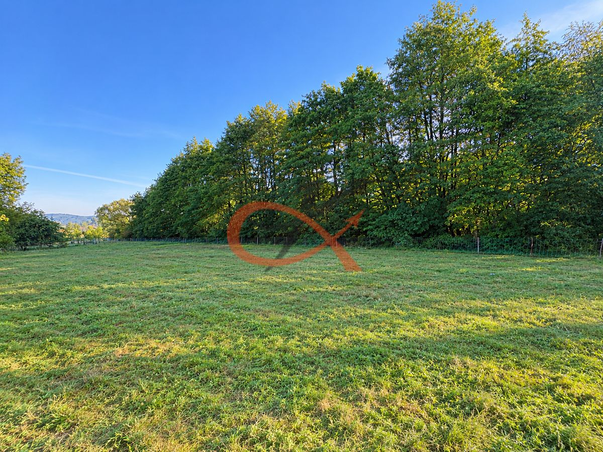 Prodej zahrady 4190 m² – fotografie 3