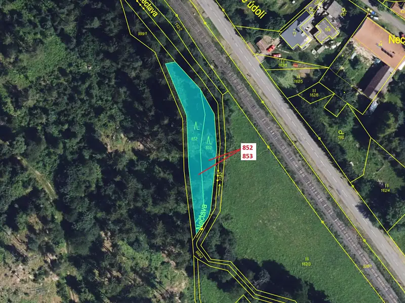Dražba lesa 1054 m², Biskupice – náhled fotky 2