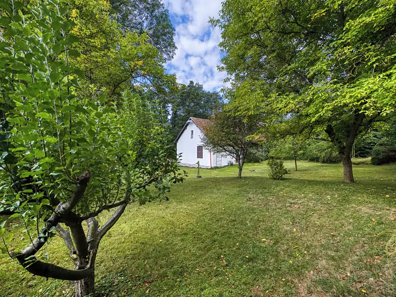 Prodej chalupy 350 m², pozemek 2873 m², Rozsochatec – náhled fotky 2
