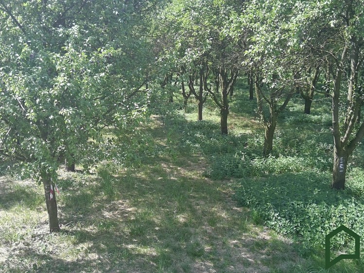 Ділянка на продаж, 5 319 м² (2 з 6)