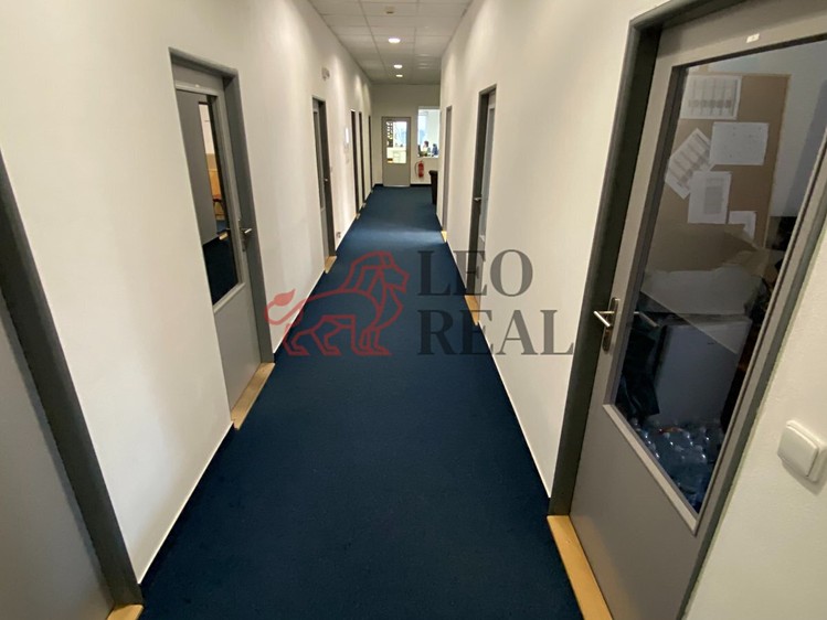 Pronájem komerčního prostoru, 970 m² (9 z 13)