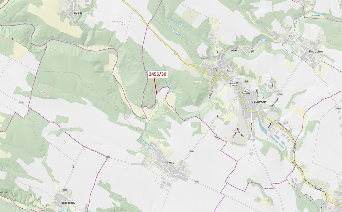 Dražba lesa 56 m², Oslavany – fotka 1 z 3