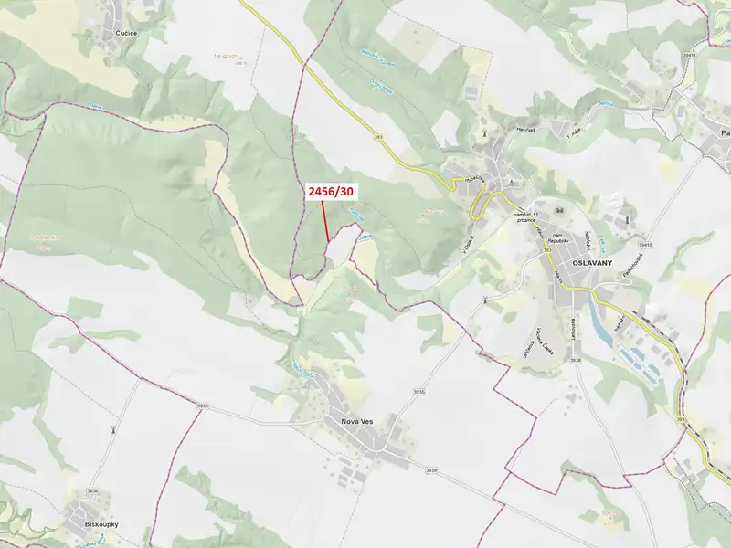 Dražba lesa 56 m², Oslavany – náhled fotky 1