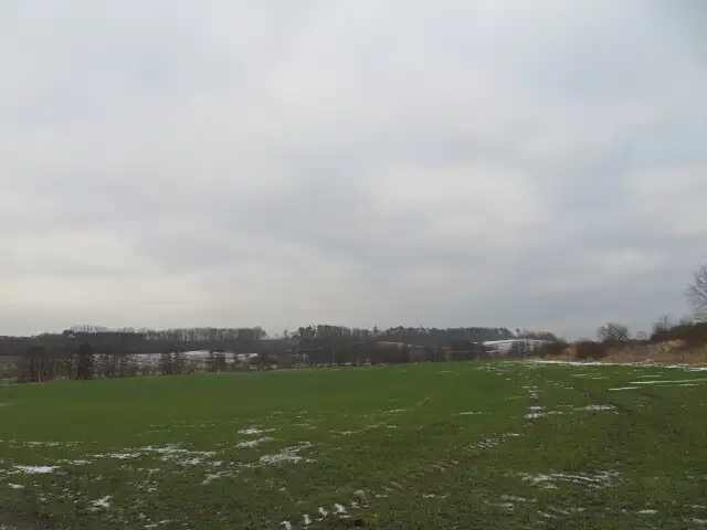 Dražba louky 18528 m², Račice nad Trotinou – náhled fotky 2