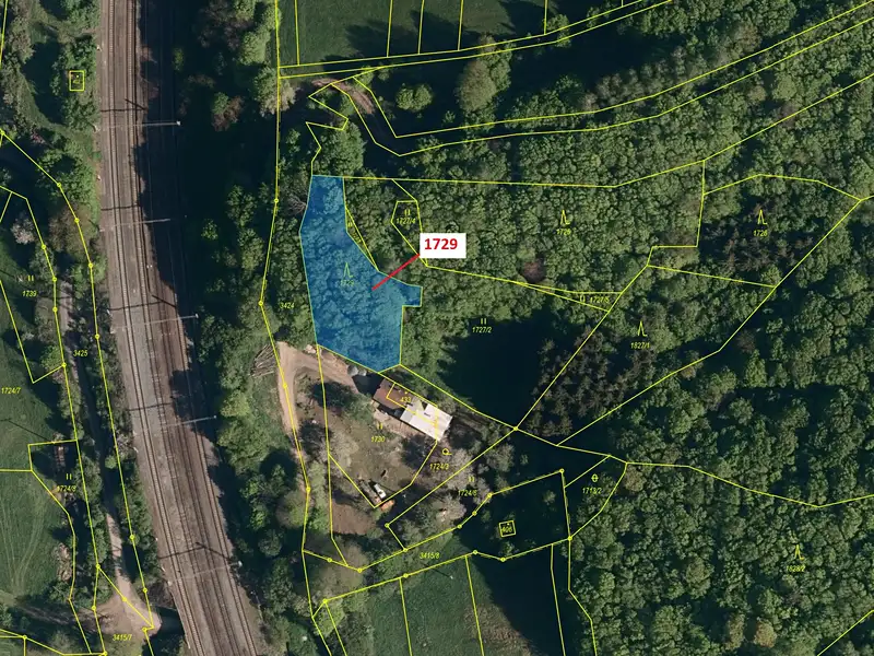 Dražba lesa 1112 m², Valašská Polanka – náhled fotky 2