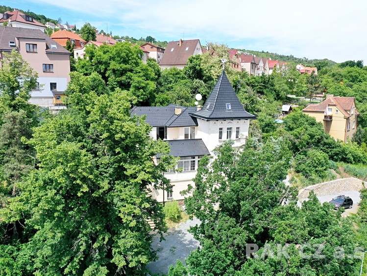 Prodej domu, 338 m² (3 z 19)