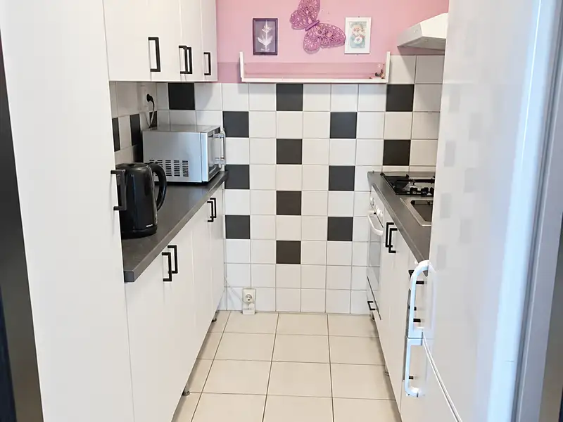Pronájem bytu 2+kk 43 m², Praha – náhled fotky 3
