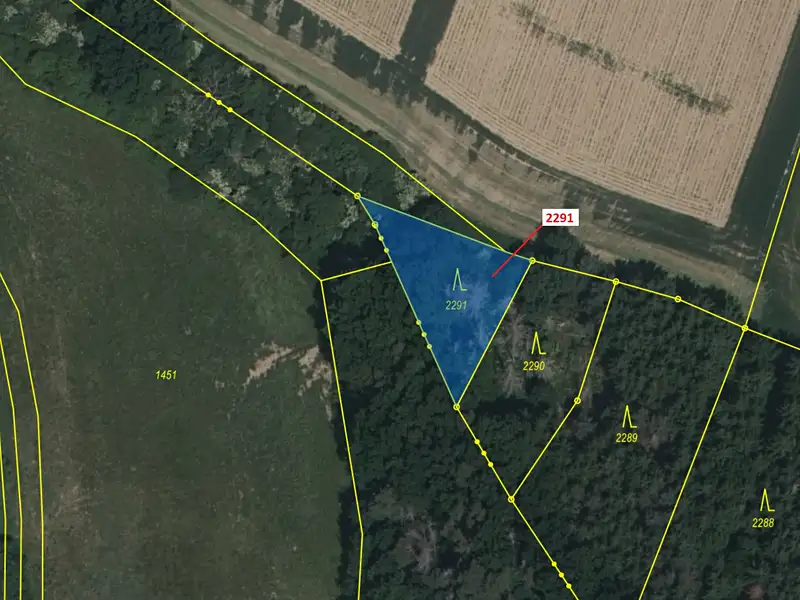 Dražba lesa 529 m², Chotěbudice – náhled fotky 2