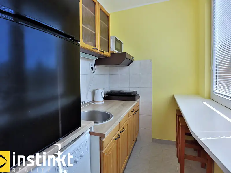 Pronájem bytu 1+1 30 m², Praha – náhled fotky 3