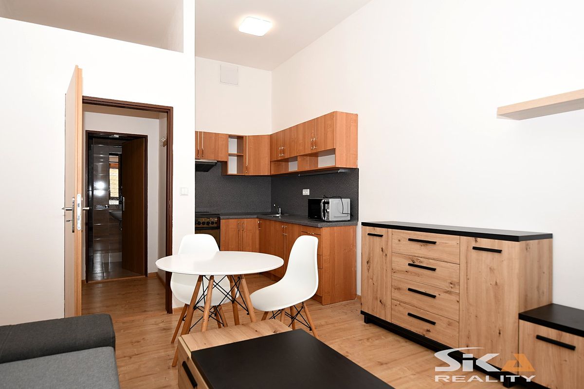 Pronájem bytu 1+kk 25 m² – fotografie 4