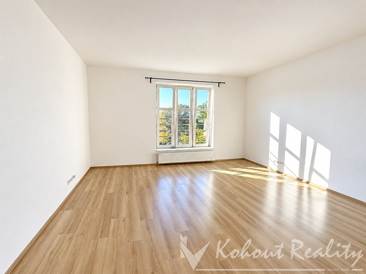 Pronájem bytu 1+1 50 m² – fotografie 2