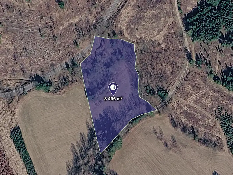 Prodej louky 8496 m², Prosetín – náhled fotky 1