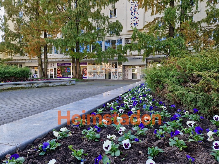 Gewerbefläche zur Miete, 66 m² (9 von 11)