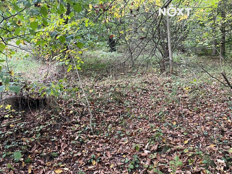 Gewerbefläche zum Kauf, 240 m² (12 von 12)