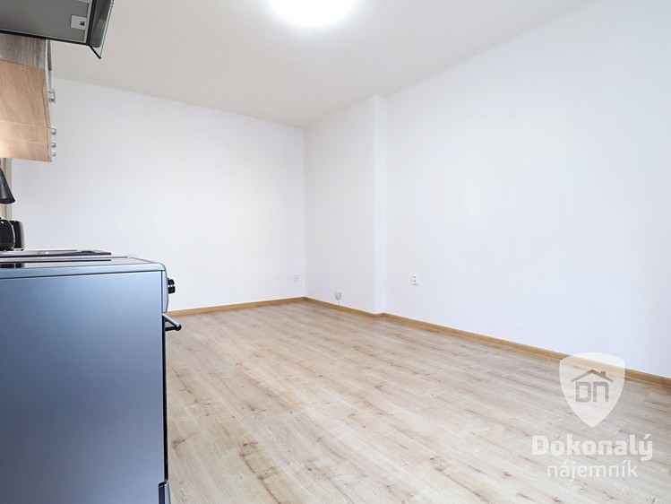 Квартира 1+kk в оренду, 22 м² (5 з 12)