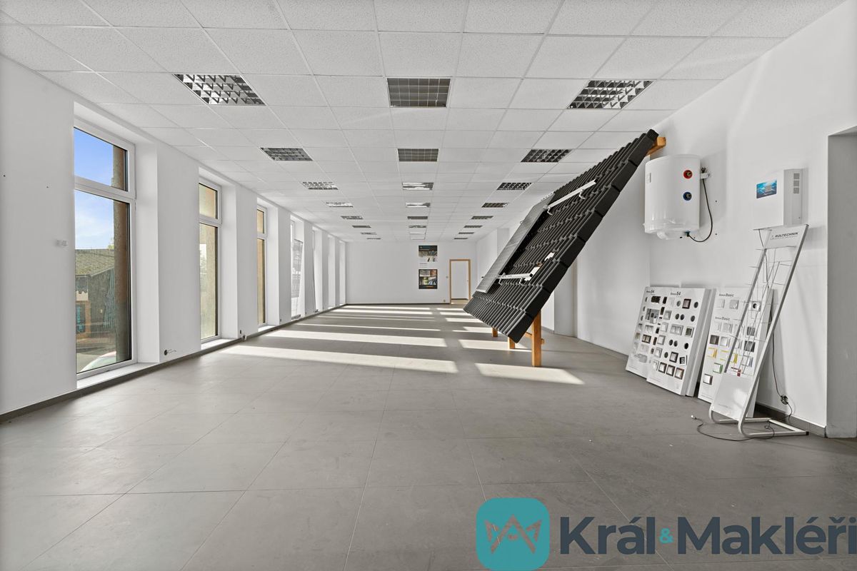 Prodej obchodního prostoru 1238 m² – fotografie 4