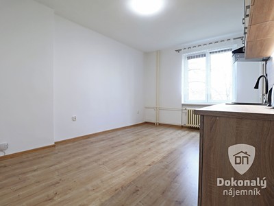 Квартира 1+kk в оренду, 22 м² (2 з 12)