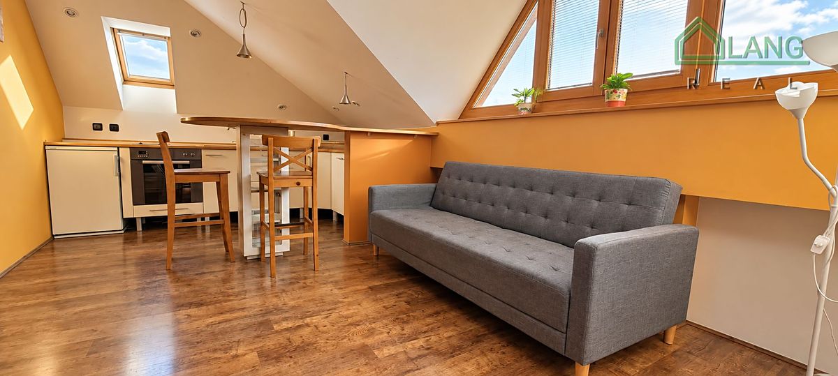 Pronájem bytu 1+kk 50 m²