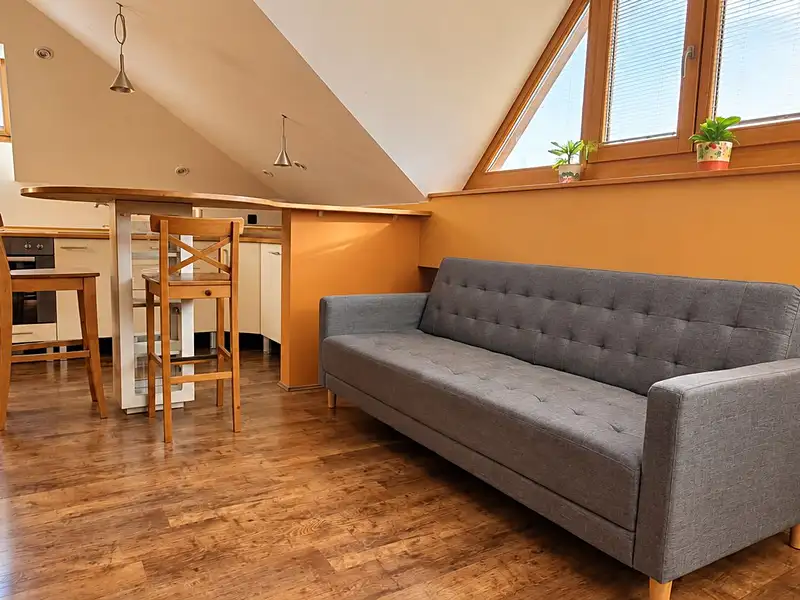 Pronájem bytu 1+kk 50 m², Brno – náhled fotky 1