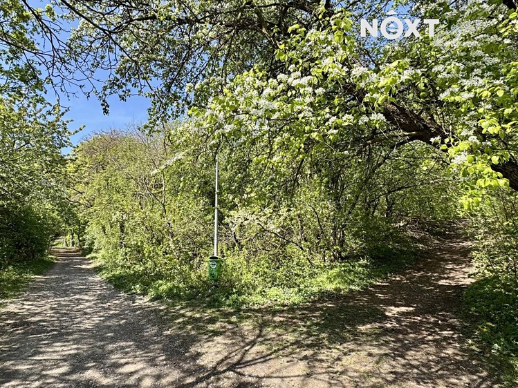Pronájem bytu 1+1, 55 m² (11 z 11)