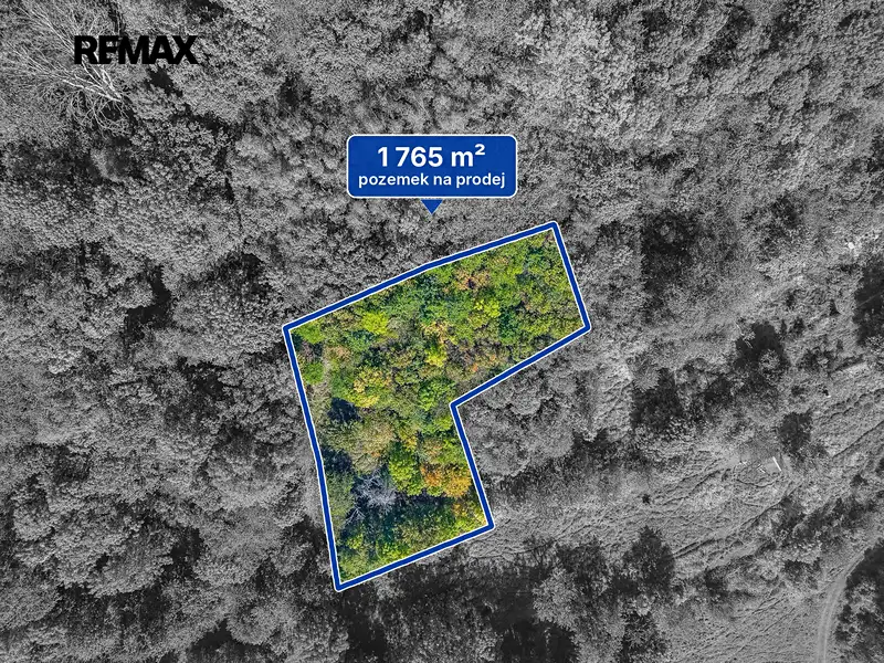 Prodej lesa 1765 m², Dolní Zálezly – náhled fotky 3