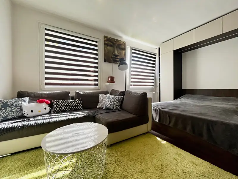 Pronájem bytu 1+kk 31 m², Plzeň – náhled fotky 3