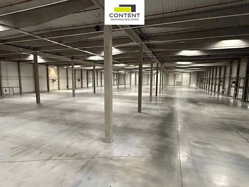 Pronájem výrobní haly, prostoru 36000 m², Ostrava – náhled fotky 3