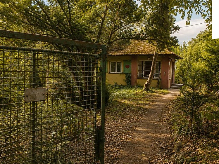 Grundstück zum Kauf, 1.165 m² (7 von 15)
