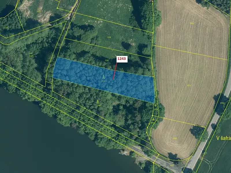 Dražba lesa 2662 m², Nezdřev – náhled fotky 2