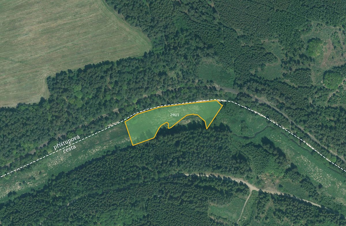 Prodej louky 4514 m², Bor – fotka 1 z 3