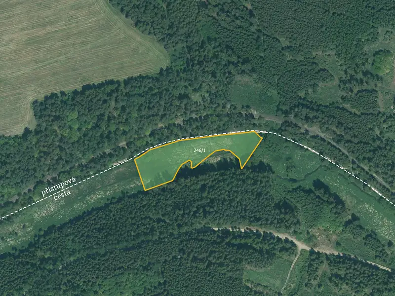Prodej louky 4514 m², Bor – náhled fotky 1