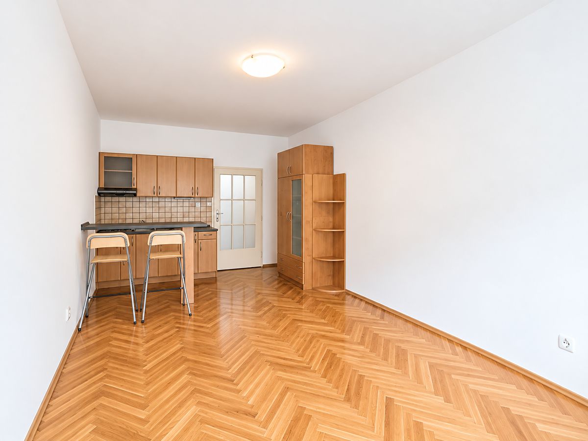 Pronájem bytu 1+kk 30 m² – fotografie 3