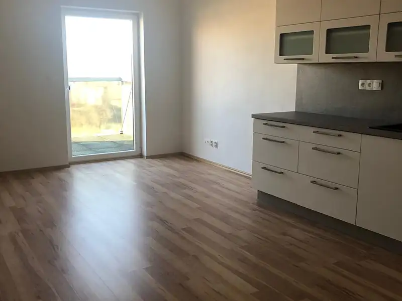 Prodej bytu 2+kk 56 m², Plzeň – náhled fotky 3