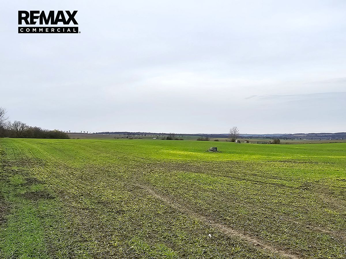 Prodej komerčního pozemku 15940 m², Benátky nad Jizerou – fotka 1 z 3