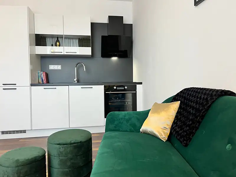 Prodej bytu 2+kk 45 m², Liberec – náhled fotky 3