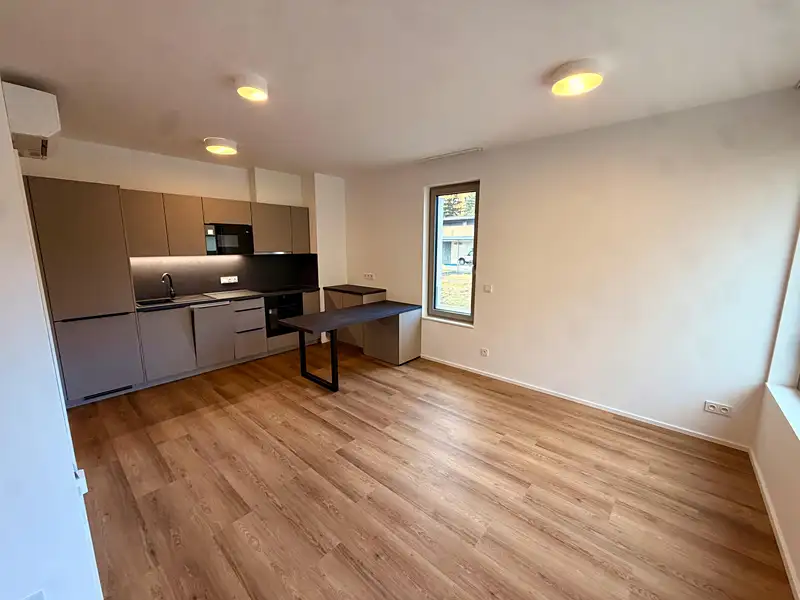 Pronájem bytu 1+kk 37 m², Praha – náhled fotky 1
