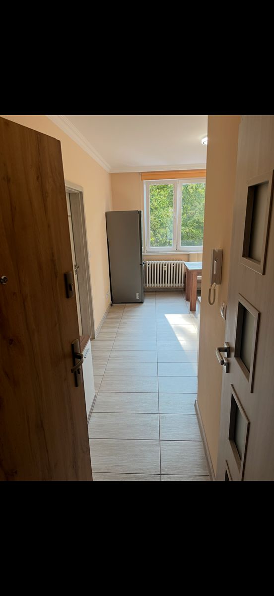 Pronájem bytu 1+1 42 m², Karlovy Vary – fotka 1 z 3