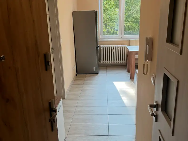 Pronájem bytu 1+1 42 m², Karlovy Vary – náhled fotky 1