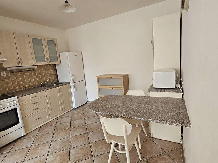 Wohnung 2+kk zum Kauf, 49 m² (2 von 13)