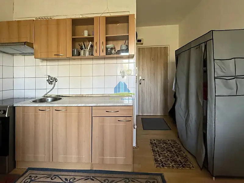 Prodej bytu 1+1 35 m², Plesná – náhled fotky 3